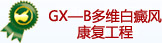 GX-B��ά���翵���幤��