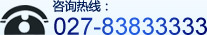 �绰��027-83833333