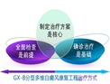 GX-B���Ͷ�ά���翵���������Ʒ�ʽ