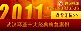 2011�人����ʮ�󾭵䰸��