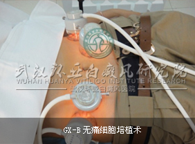 GX-B��ɫ��ϸ����������������