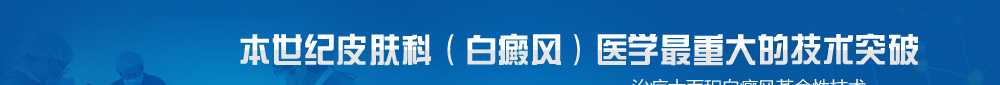 GX-B��ɫ��ϸ��������