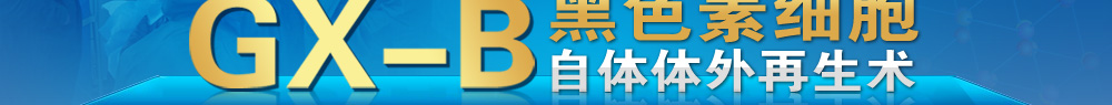 GX-B��ɫ��ϸ��������