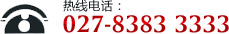 ���ߵ绰