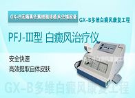 PFJ-III�� ����������